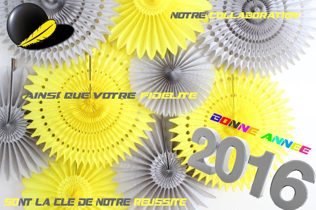 Nos voeux pour 2016